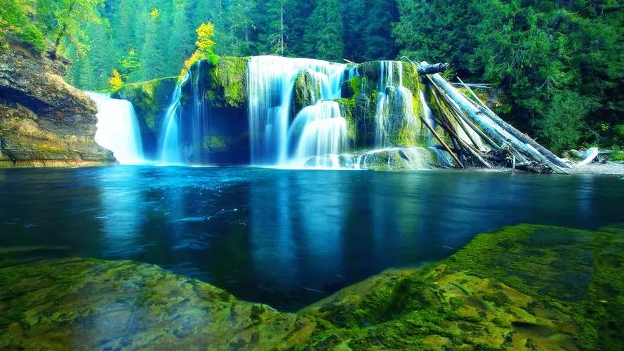 可靠性独特